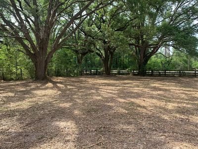 Tbd Cr 252, Live Oak, FL, 32060