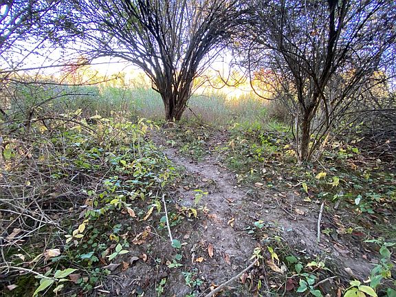 3rd image of 4185 Shance Hwy