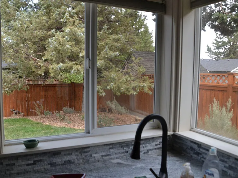 Kitchen windows looking onto peaceful back yard