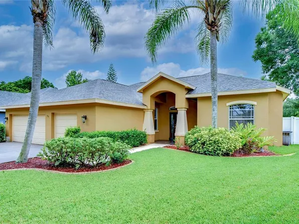 1126 Lumsden Trace Cir, Valrico, FL 33594