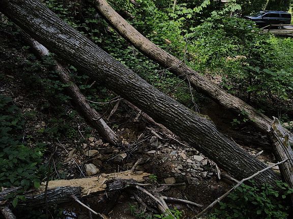 3rd image of 0 Black Walnut Flats Rd Lot 7