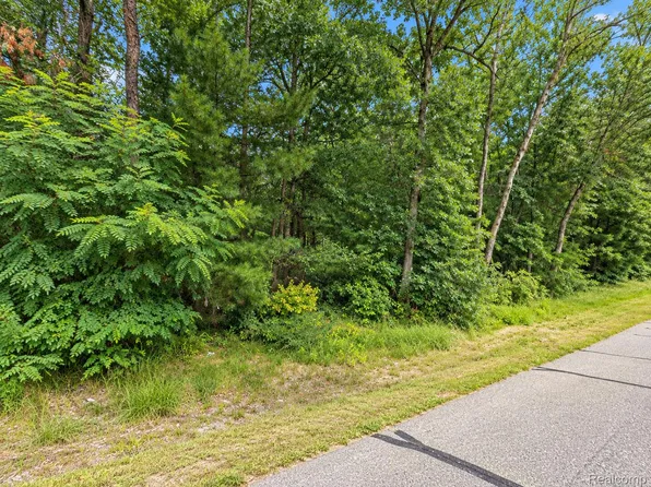 0 Guthrie St, Baldwin, MI 49304