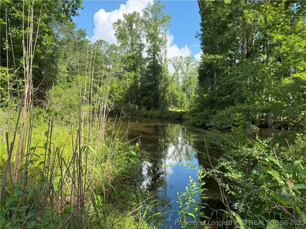 1111 Hollow Bridge Rd, Autryville, NC 28318