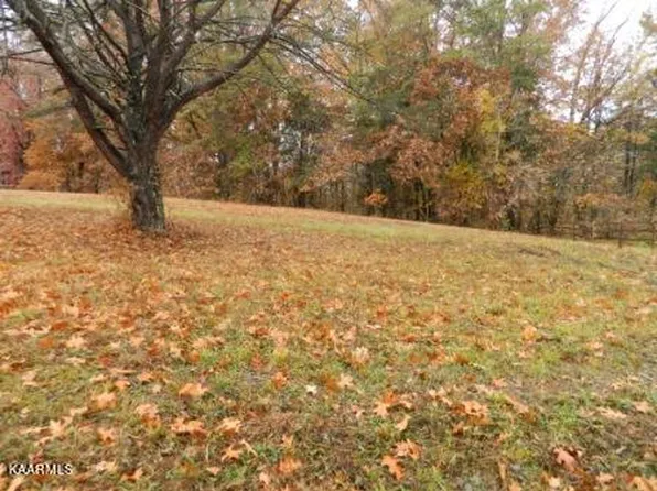 McKinney Rd, Blaine, TN 37709