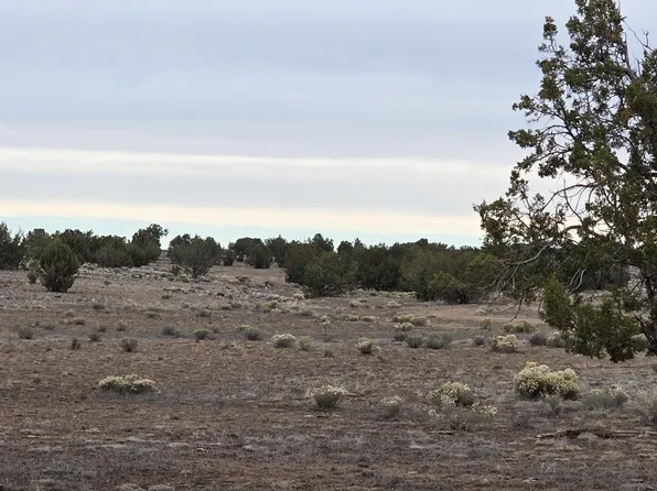 214 Juniper Woods, Ash Fork, AZ 86320