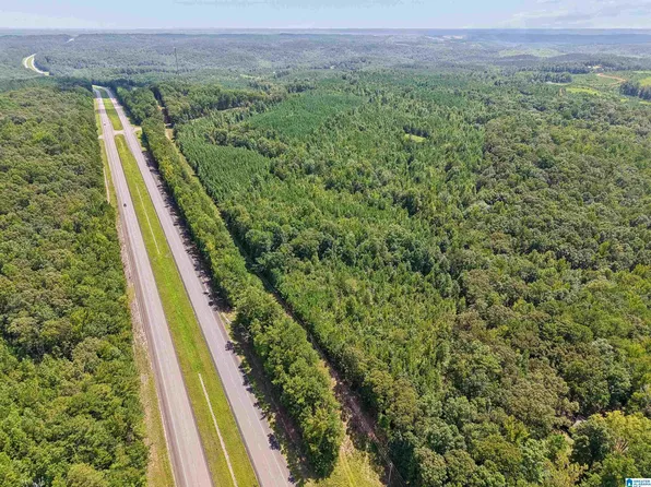 2387 County Road 131, Goodwater, AL 35072