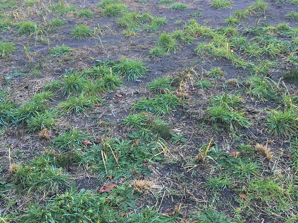 2nd image of 207 2nd Ave