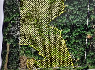 E Highway 316, Fort Mc Coy, FL 32134