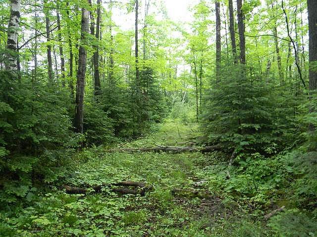 2nd image of LOT 15 E Big Buck Cir