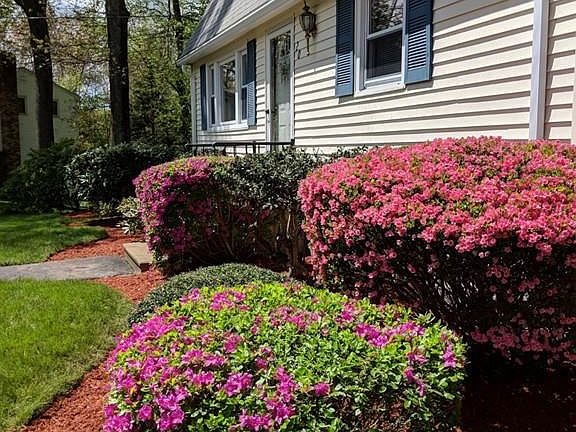 3rd image of 20 Ladyslipper Dr