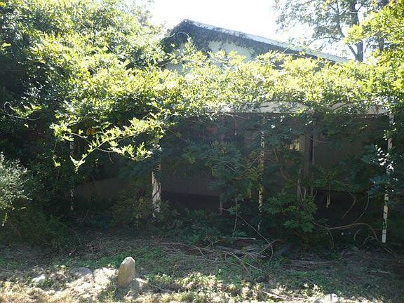 3rd image of 12769 Sollace M Freeman Hwy