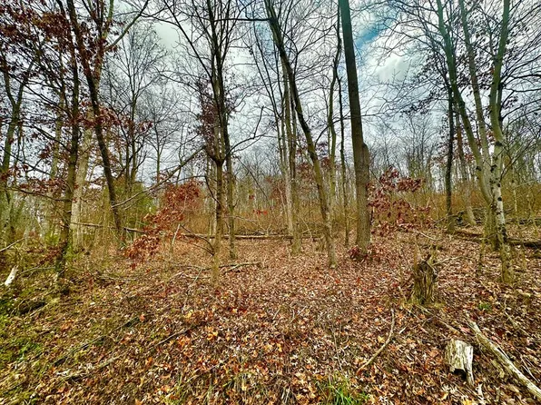 0 Prussia Rd, Waverly, OH 45690