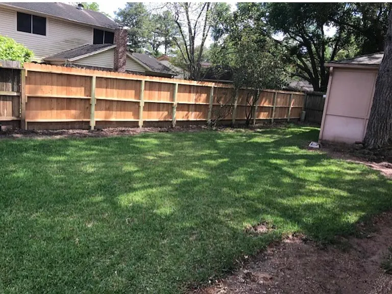Park Tree Ln — Photo 18
