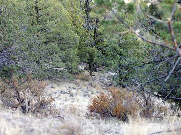 4th image of Pheasant Dr