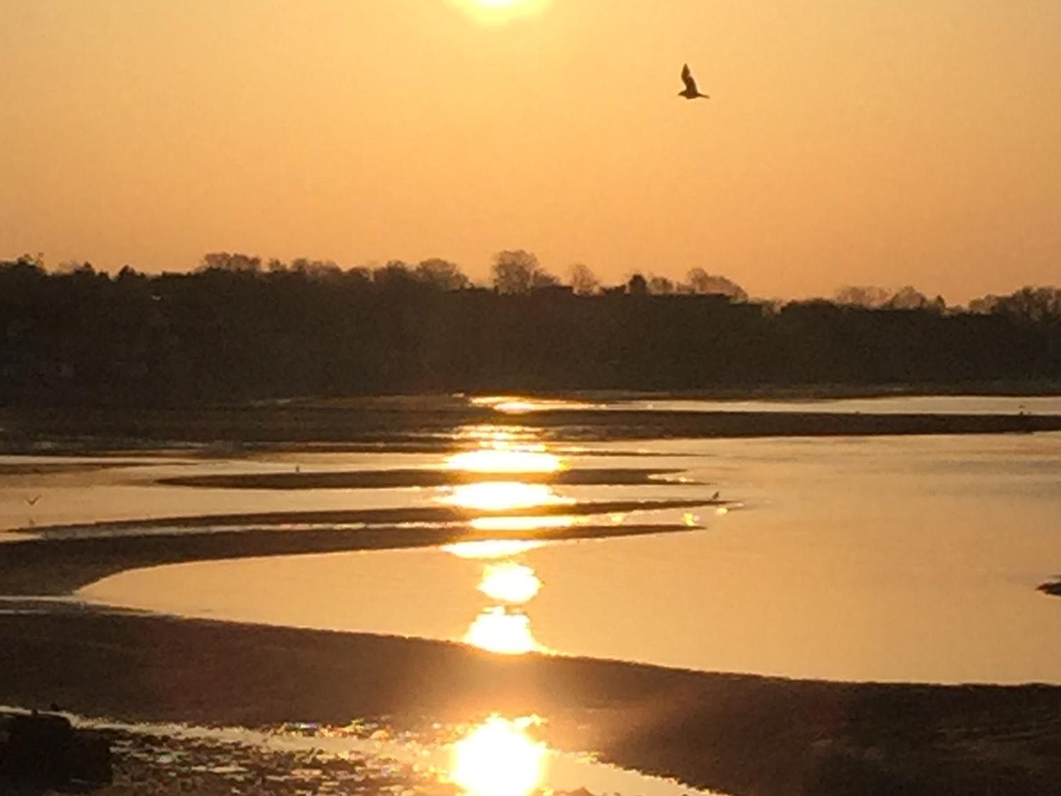 33 Westland Ave, Milford, CT 06460 Zillow