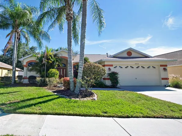 24330 Branchwood Ct, Lutz, FL 33559