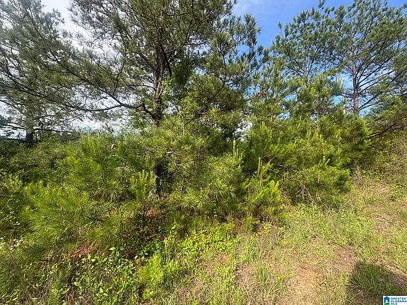 4th image of 0 County Road 349 #0