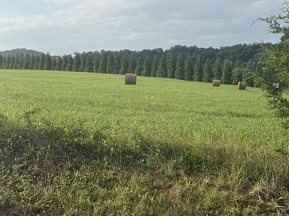 3rd image of 0 Holston Acres