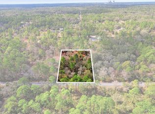 9568 N Dawnflower Ave, Crystal River, FL 34428