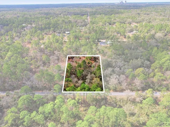 9568 N Dawnflower Ave, Crystal River, FL 34428