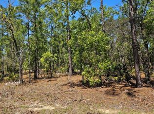 8 Eugenia Ct W, Homosassa, FL 34446