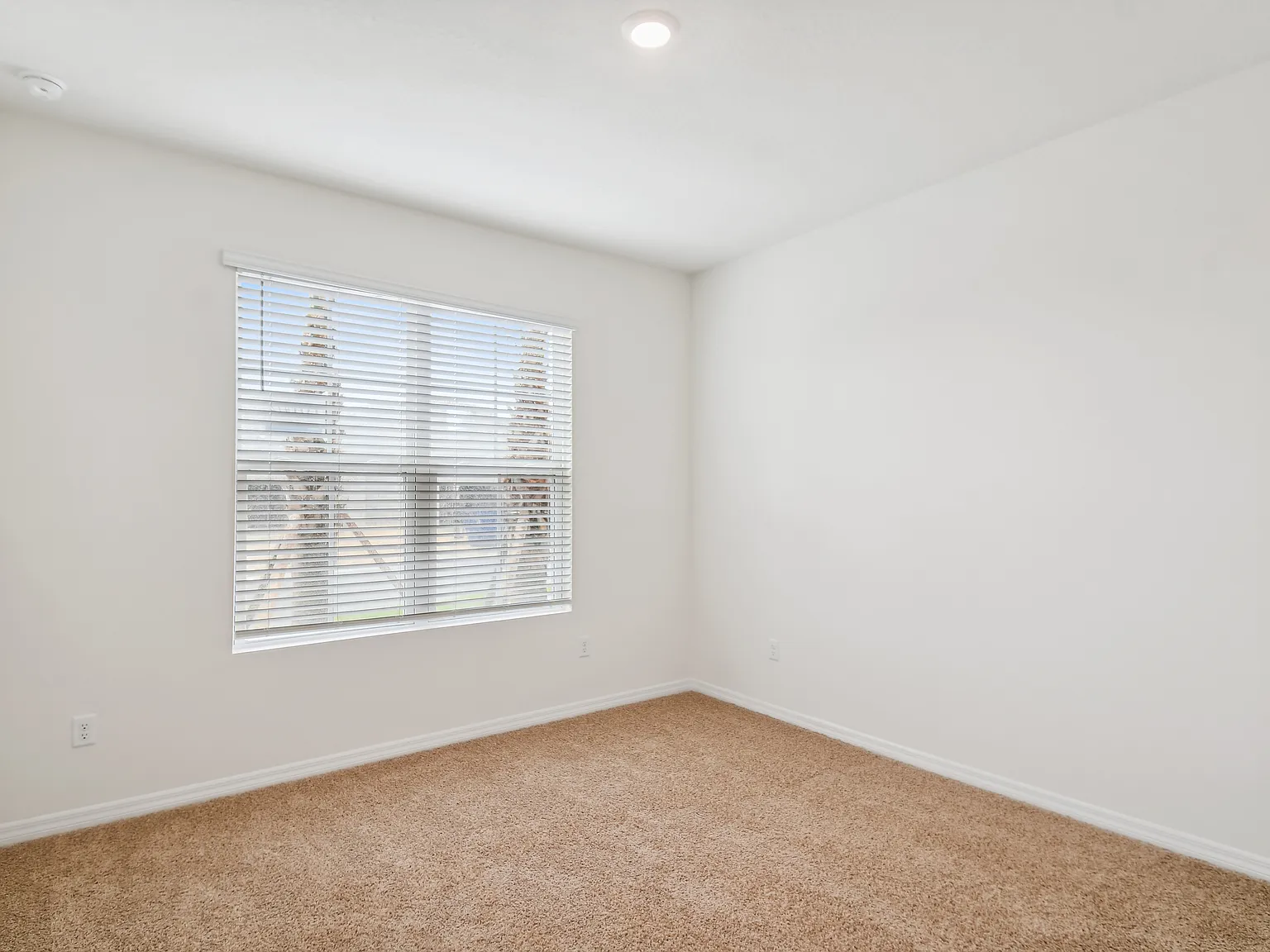 6 bed, 5.5 bath, 3173 sqft, $4,195 — Photo 4