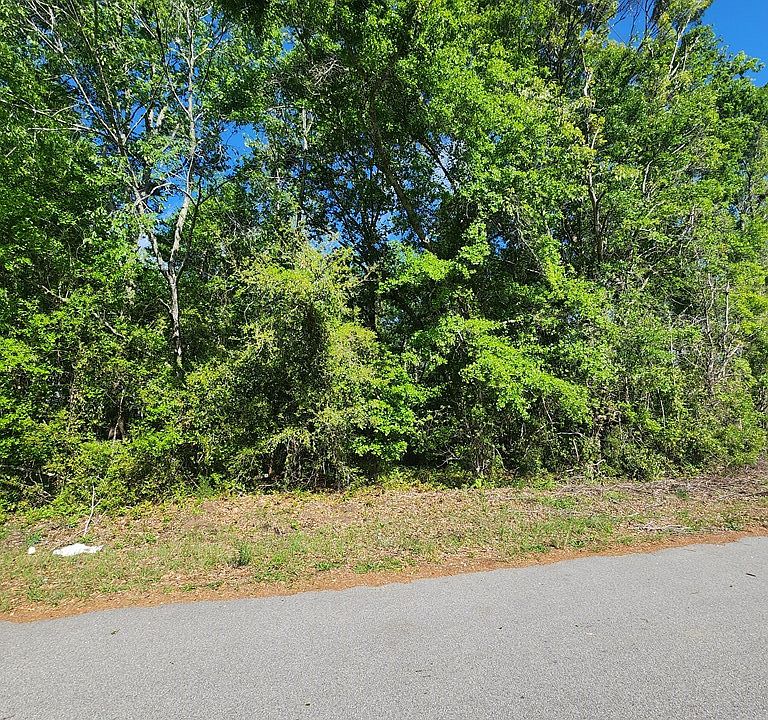 2nd image of 2395 Killdee Dr