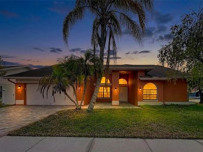 8601 Chadwick Dr, Tampa, FL, 33635