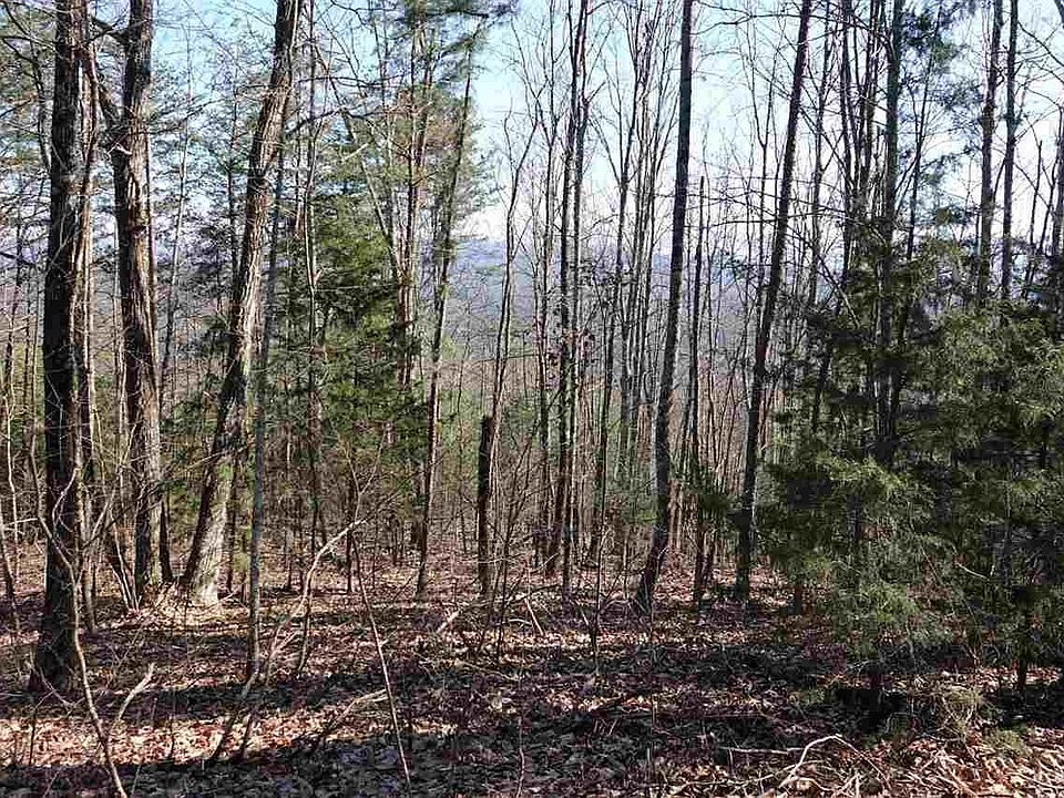 1st image of 81 & 82A Shell Mountain Rd Lot 81A