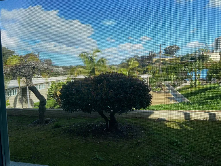 Antone Apartments — Photo 131