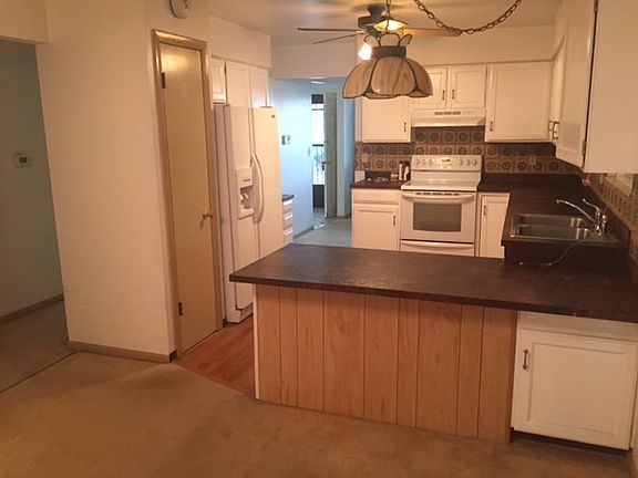 4620_debonair_b_03132023