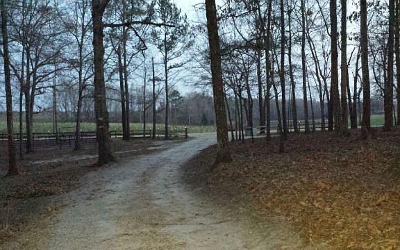 Drive up to the house