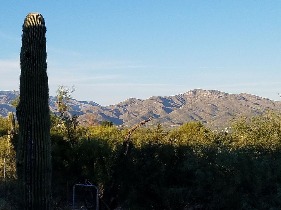 Front yard view