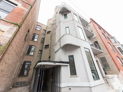 161 W Schiller St, Chicago, IL, 60610