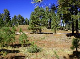 3595 W Strawberry Roan, Flagstaff, AZ 86005