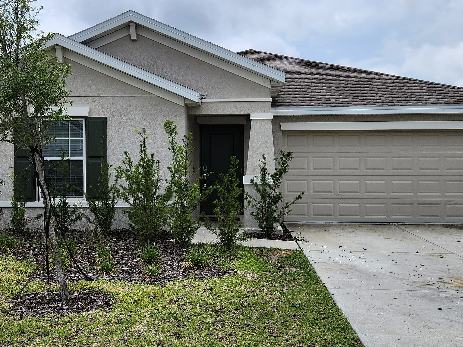 3 bed, 1560 sqft, $2,000 — Photo 1