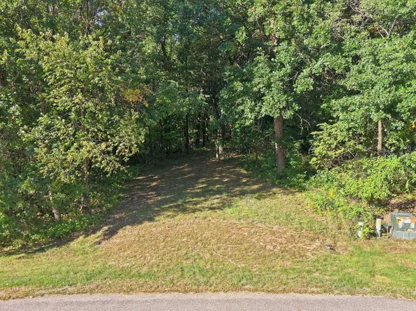 146th Ave, Clear Lake, MN 55319