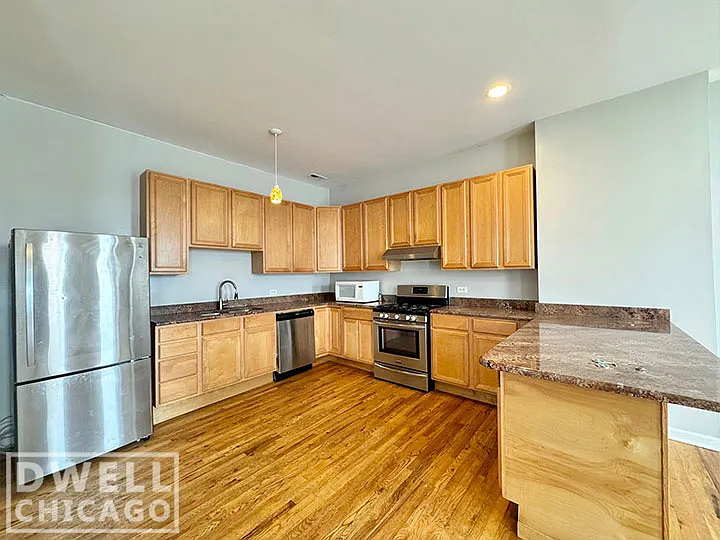 1903 S Blue Island Ave #3 — Photo 3