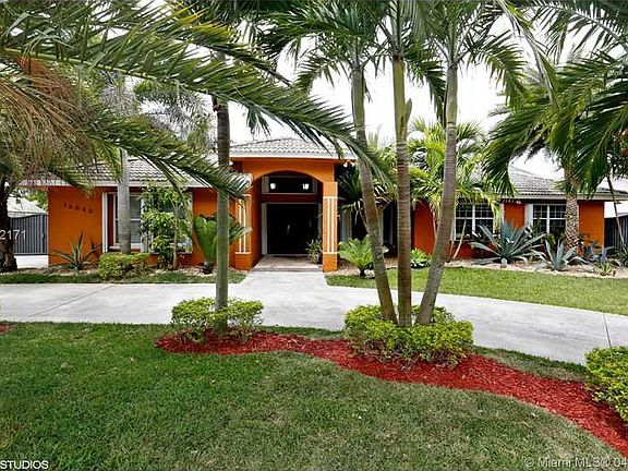 Tropical Palm Paradise