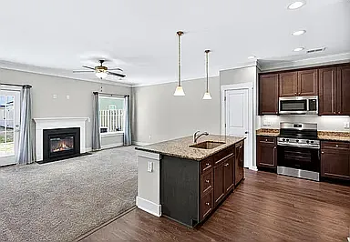 217 Button Willow St — Photo 5