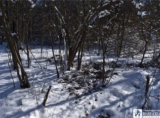 1197 Lyndon Rd #6, Franklinville, NY 14737