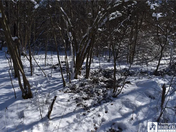 1197 Lyndon Rd #6, Franklinville, NY 14737