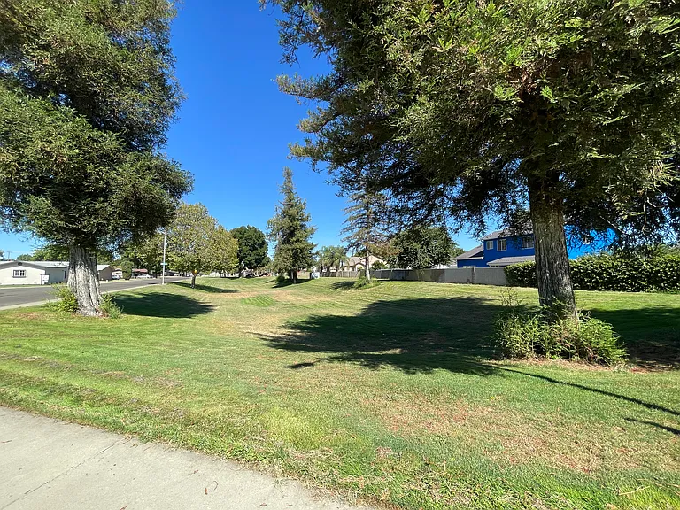 3500 Timberly Ln — Photo 19