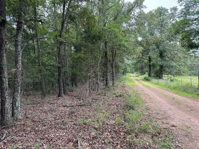 976 County Road 121, Alton, MO, 65606