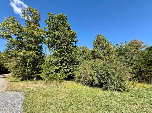 0 Owl Hollow Rd Lot 2, Palmer, TN 37365
