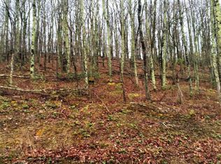 142 Po Box, Bland, VA 24315