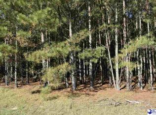 1301 E McIver Rd, Darlington, SC 29532