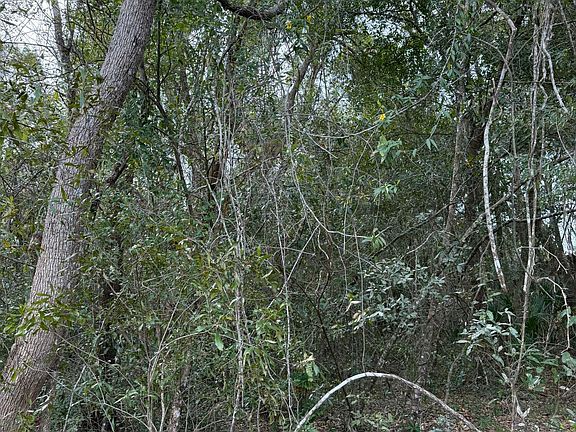 3rd image of 0 Huntington Rd