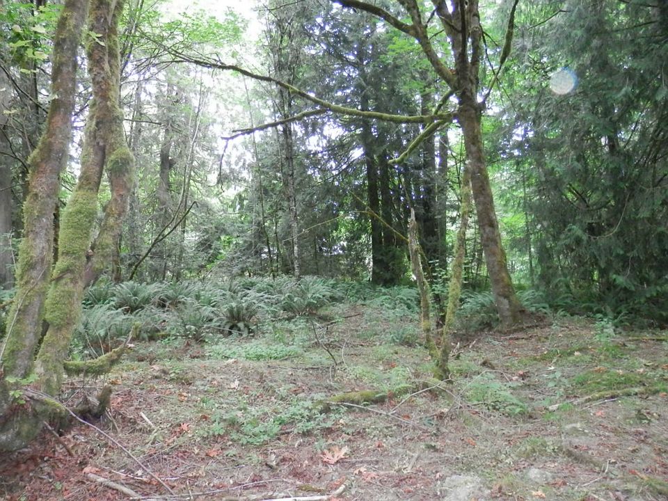 1st image of 2824 Sleepy Creek Ln NE