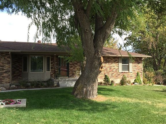 Shaded front yard